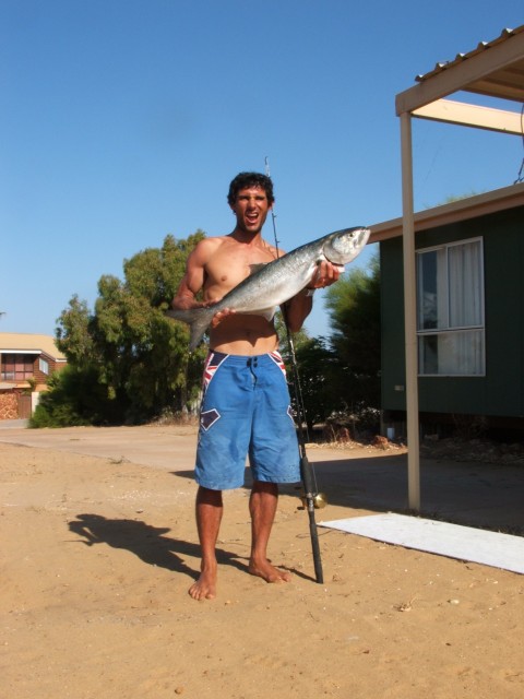 freight train greenback kalbarri style!